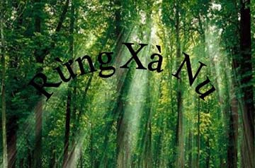 Phân tích hình tượng cây xà nu trong truyện ngắn Rừng xà nu của Nguyễn Trung Thành để từ đó giải thích tại sao tác giả đặt cho truyện của mình cái tên như vậy