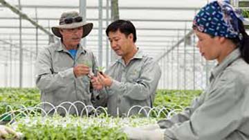 Viết đoạn văn bình luận về đóng góp to lớn của các nhà khoa học nông nghiệp Việt Nam