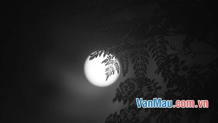 Đêm trăng nơi núi rừng Việt Bắc