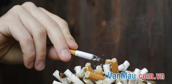 Hút thuốc lá lại vô cùng có hại