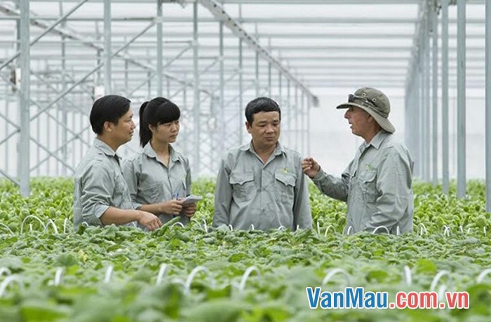 nhà khoa học nông nghiệp Việt Nam
