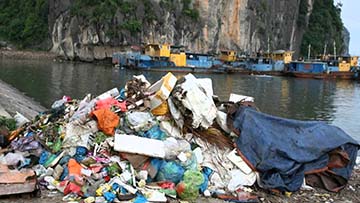 Viết đoạn văn thuyết minh về hiện trạng ô nhiễm môi trường ở Việt Nam