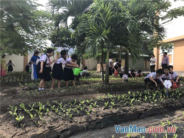 Em có tham gia một buổi lao động trồng cây ở “vườn sinh vật” của trường