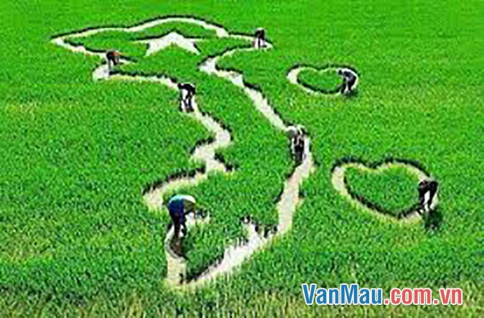 Tình yêu quê hương đất nước được nuôi dưỡng trong tâm hồn con người Việt Nam