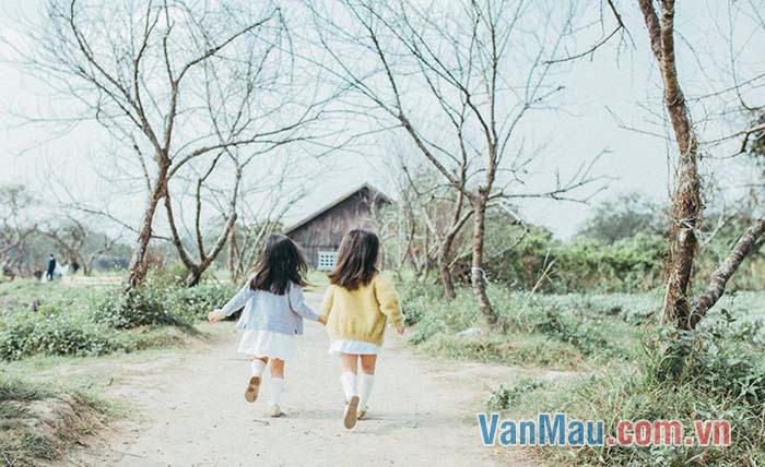 Cậu ấy thật xứng đáng là “đại ca” của mình Cậu ấy thật xứng đáng là “đại ca” của mình