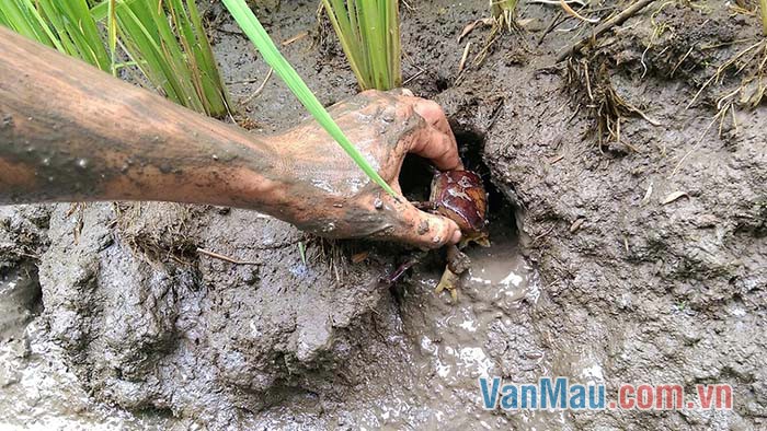 Kỉ niệm đáng nhớ nhất là lần hai đứa cùng đi tát cá