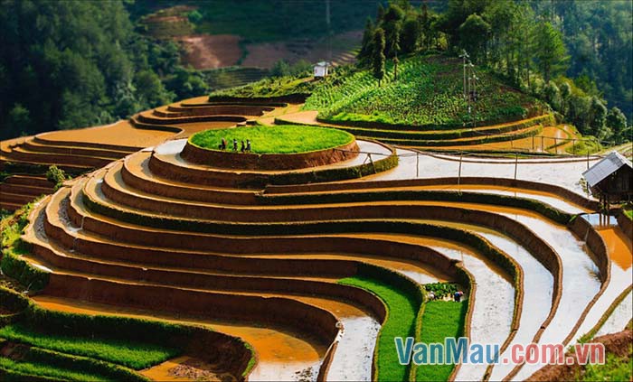 Buổi sáng trên nương rẫy đẹp và thanh bình quá Buổi sáng trên nương rẫy đẹp và thanh bình quá