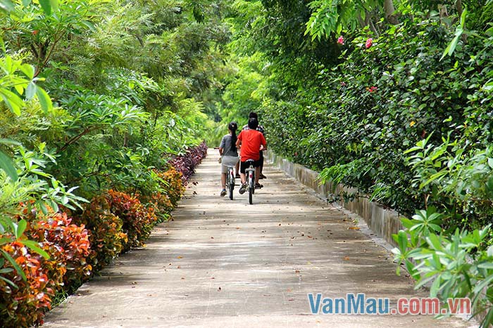 Buổi sáng trong công viên thật là tuyệt Buổi sáng trong công viên thật là tuyệt