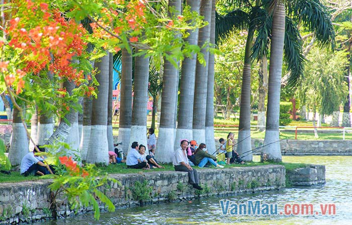 Công viên buổi chiều thật là nhộn nhịp