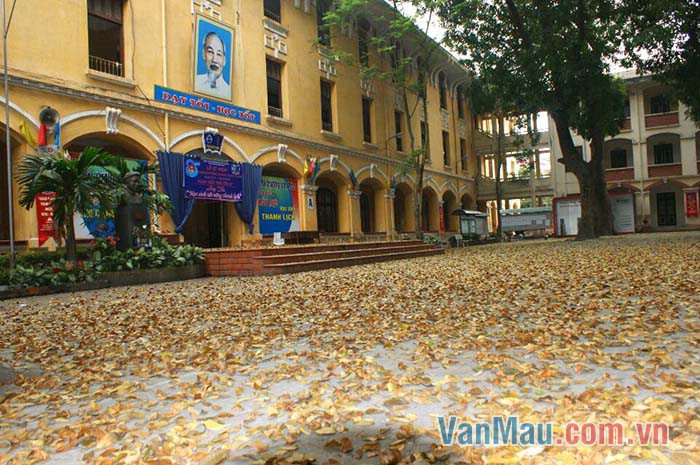Dịp nghỉ hè, trường buồn lắm