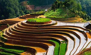 Tả cảnh buổi sáng trên nương rẫy Tả cảnh buổi sáng trên nương rẫy