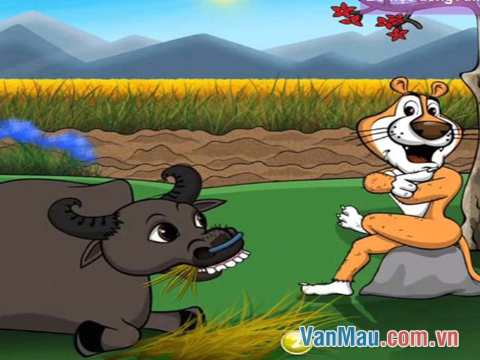 Trâu và Cọp Trâu và Cọp
