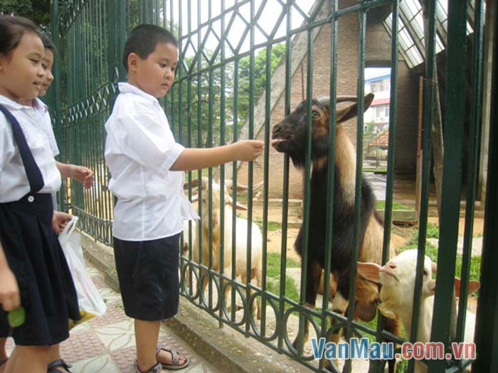 Vườn thú Thủ Lệ Vườn thú Thủ Lệ