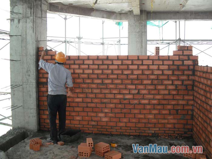 Bố đang xây tường