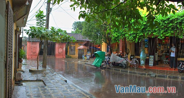 Cơn mưa mùa hạ