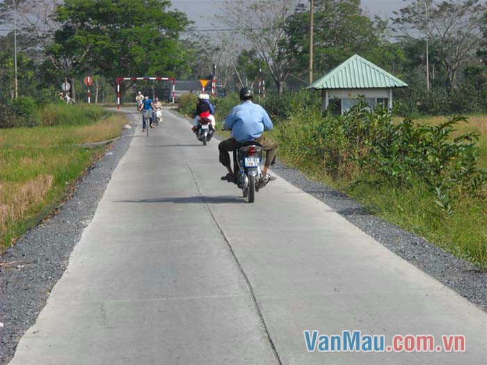 Đường không rộng lắm nhưng được trải nhựa đen nhánh, mịn màng