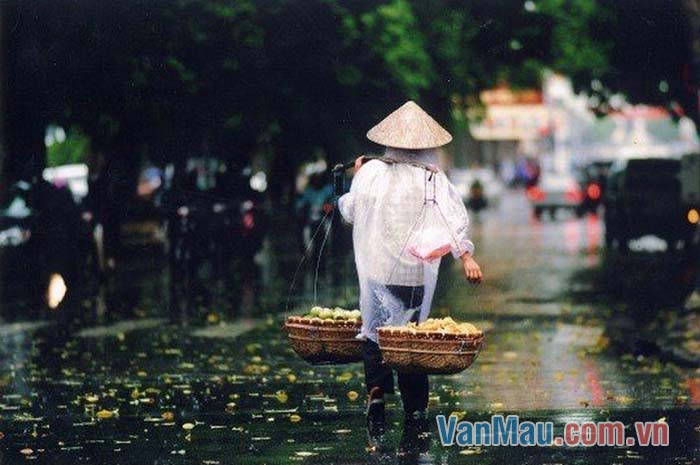 Sau cơn mưa ở thành phố em, mọi vật tươi tỉnh hẳn lên