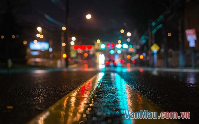 Thành phố khoác lên mình tấm màn đêm huyền ảo Thành phố khoác lên mình tấm màn đêm huyền ảo