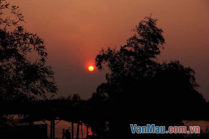 Trăng đang trải những ánh vàng khắp không gian