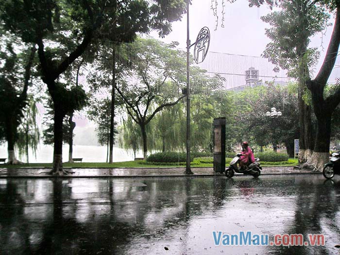 Với người thành phố một cơn mưa rào chợt đến chợt đi thật đáng yêu Với người thành phố một cơn mưa rào chợt đến chợt đi thật đáng yêu