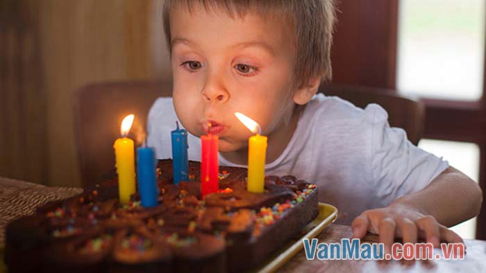 Bé Cún nhà em vừa tròn năm tuổi Bé Cún nhà em vừa tròn năm tuổi