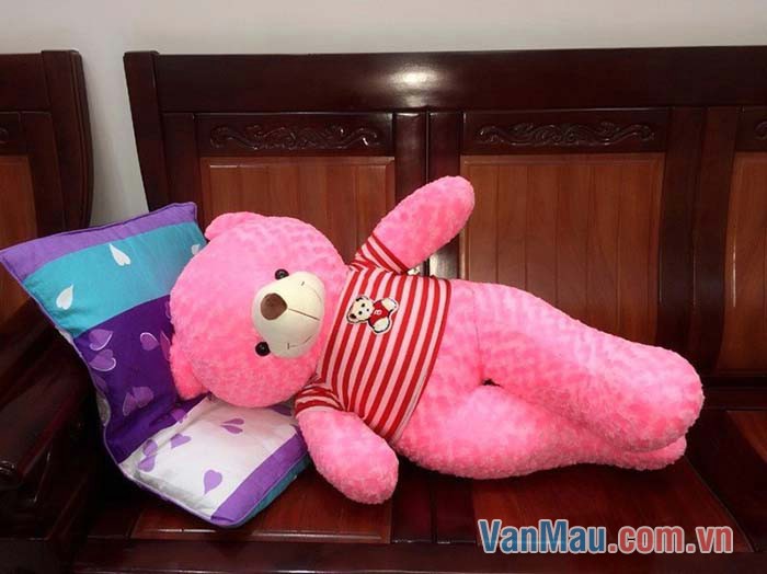 Gấu bông xinh và đáng yêu lắm Gấu bông xinh và đáng yêu lắm