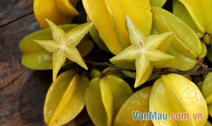 Quả khế với mọi người đã rất quen thuộc Quả khế với mọi người đã rất quen thuộc