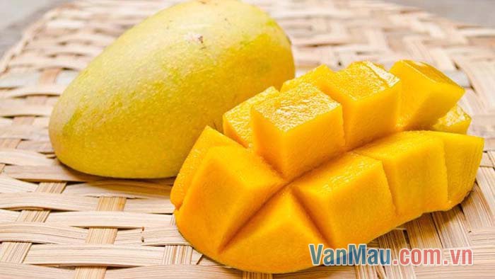 Xoài là món ăn ngon và bổ đối với mọi người Xoài là món ăn ngon và bổ đối với mọi người