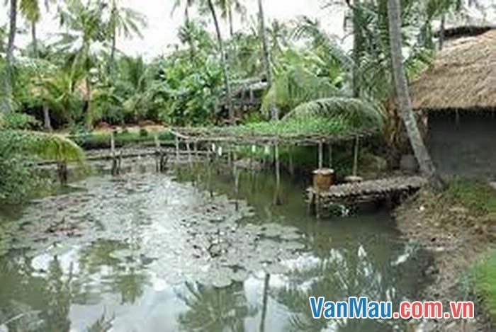 Ngôi nhà nhỏ nhưng thật ấm cúng bởi tình cảm gia đình đầm ấm
