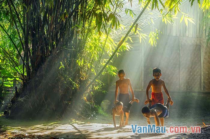 Những ngày hè oi ả, tre xanh hơn toả bóng mát rượi
