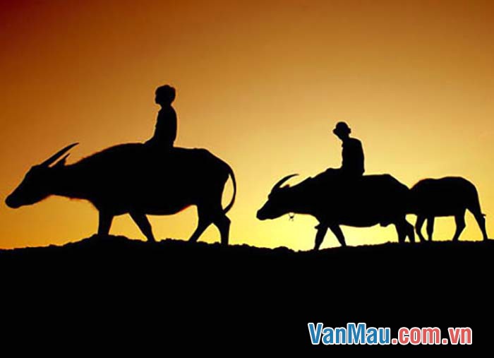 Nói về nơi em ở, một vùng quê nghèo