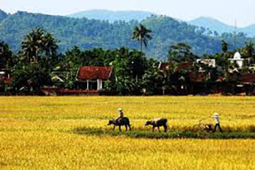 Nói về quê hương em, một vùng nông thôn