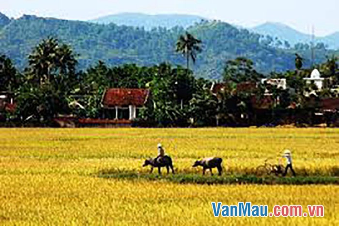 quê hương em, một vùng nông thôn
