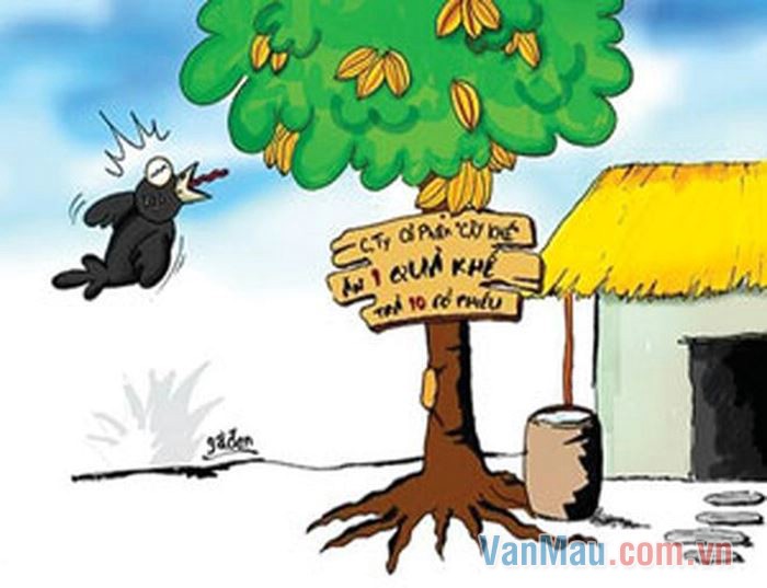 Bố mẹ mất sớm Bố mẹ mất sớm