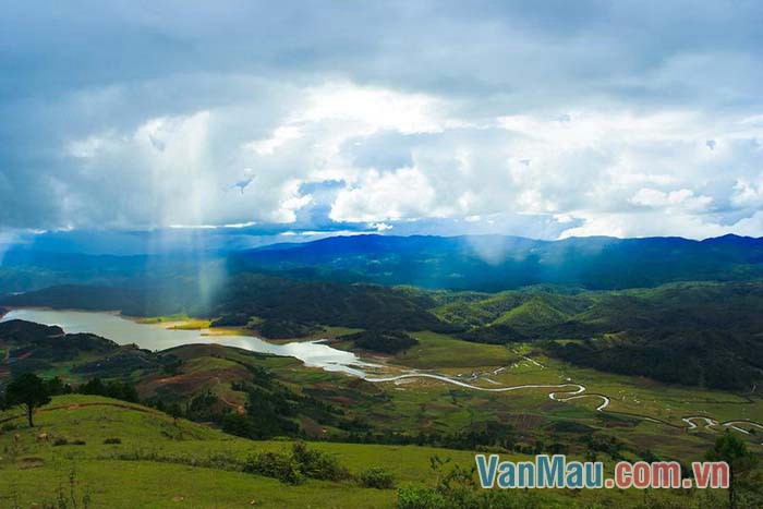 Cây xanh rất cần khí trời Cây xanh rất cần khí trời