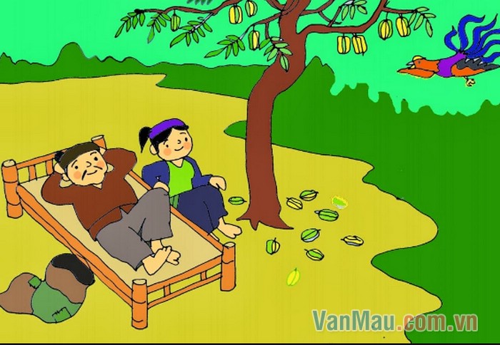 Chim trở người anh ra hoang đảo Chim trở người anh ra hoang đảo