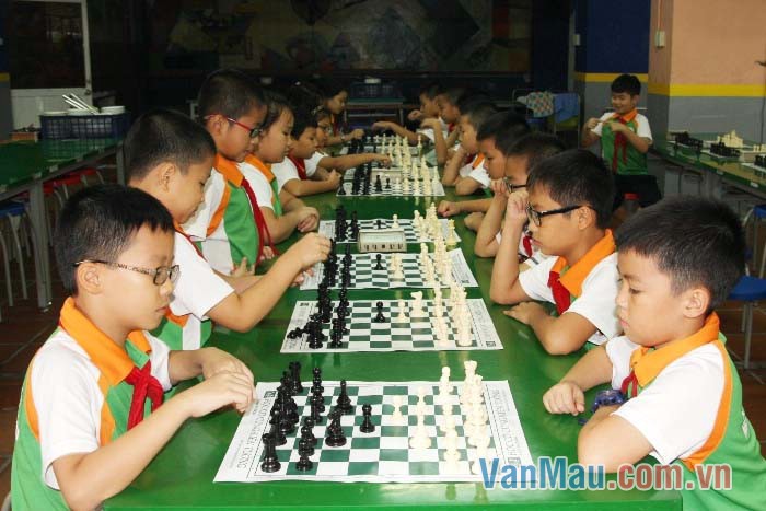 Em rất yêu thích môn cờ vua Em rất yêu thích môn cờ vua