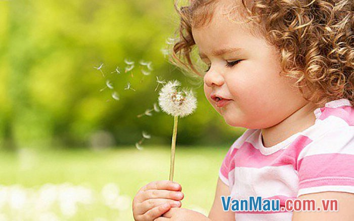 Kể về một em bé hàng xóm mà em quý mến