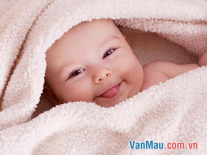 Năm ngoái mẹ em vừa mới sinh cho em một đứa em trai bụ bẫm