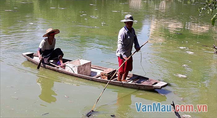 Nhiều người dùng vợt điện để bắt cá trong hồ Nhiều người dùng vợt điện để bắt cá trong hồ