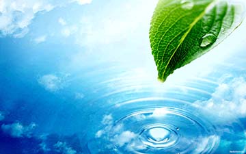 Mở rộng lí lẽ về dẫn chứng để thuyết trình, tranh luận rằng nước là cần nhất đối với cây xanh