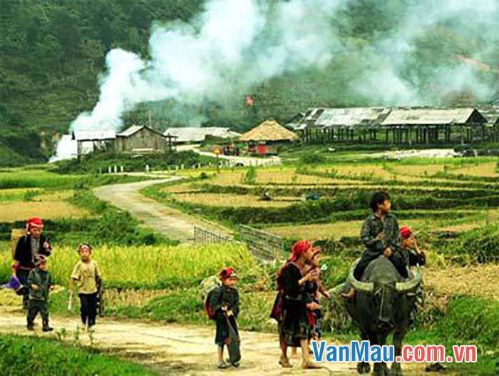 Bạn Thanh Hoa kể những điều biết về nông thôn