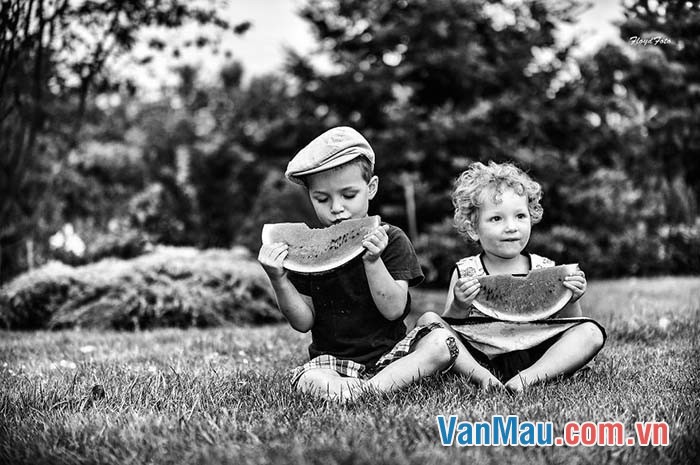 Em hãy kể về tình cảm của anh trai em đối với em