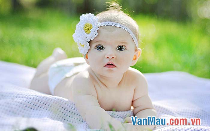Em hãy kể về tình cảm của em đối với em gái em