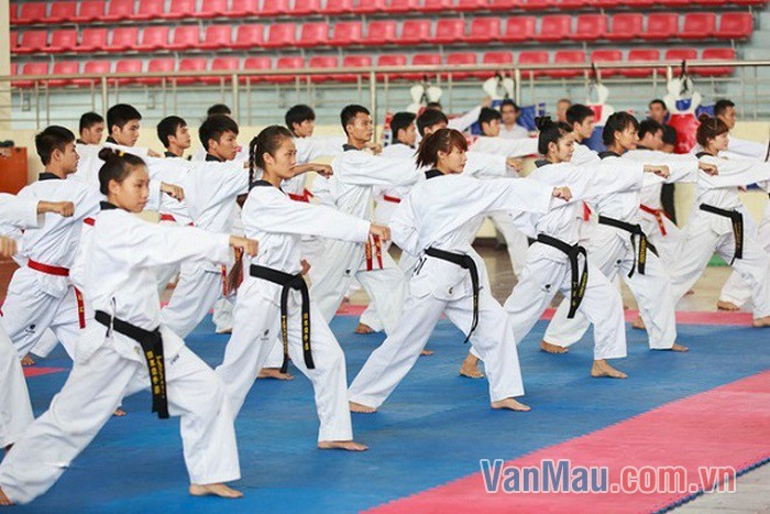Em có năng khiếu học võ thuật