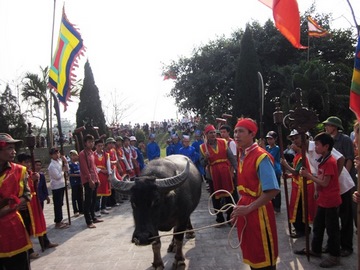 Giới thiệu lễ hội cầu trâu ở Hương Nha, Phú Thọ