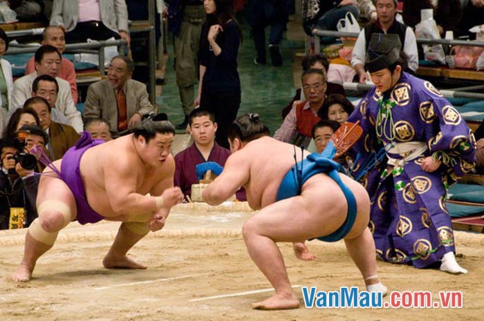 Kể lại một trận đấu vật Sumô