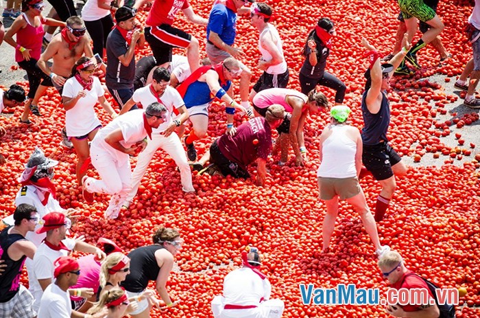 Kể về ngày hội ném cà chua của châu Âu