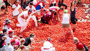 Kể về ngày hội ném cà chua của châu Âu