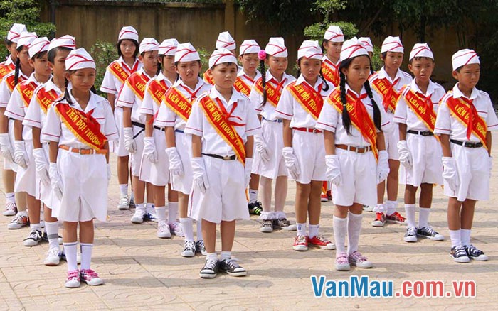 ĐỘI THIẾU NIÊN TIỀN PHONG HỒ CHÍ MINH ĐỘI THIẾU NIÊN TIỀN PHONG HỒ CHÍ MINH
